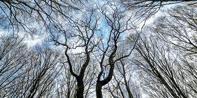 Demystifying private equity