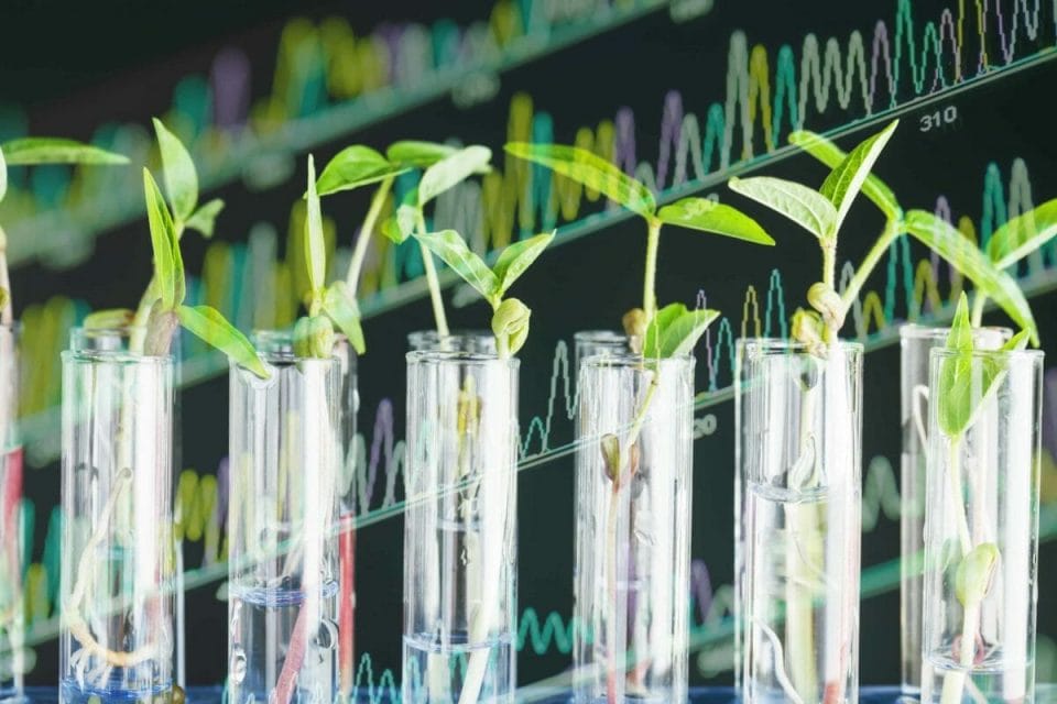 Investors' role in sustainable food - Top1000funds.com
