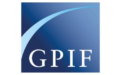As Japan’s GPIF builds out PE, new research flags measurement method