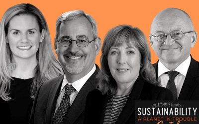 Regulation and economics converge in ESG