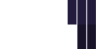 Ninety One Investment Institute