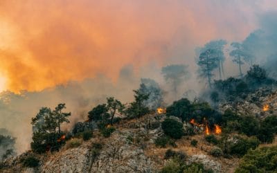 GPIF stewardship report highlights power of engagement