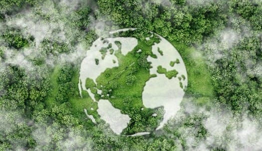 Oil crisis: Curb or catalyst to the green transition?