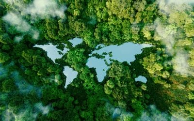 How to nature proof portfolios