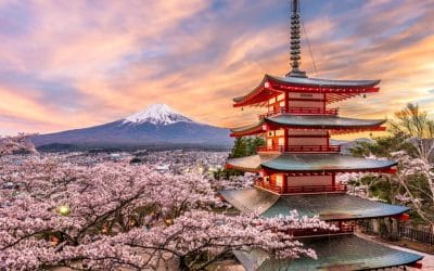 GPIF pins active equity overhaul on ‘scientific’ manager selection