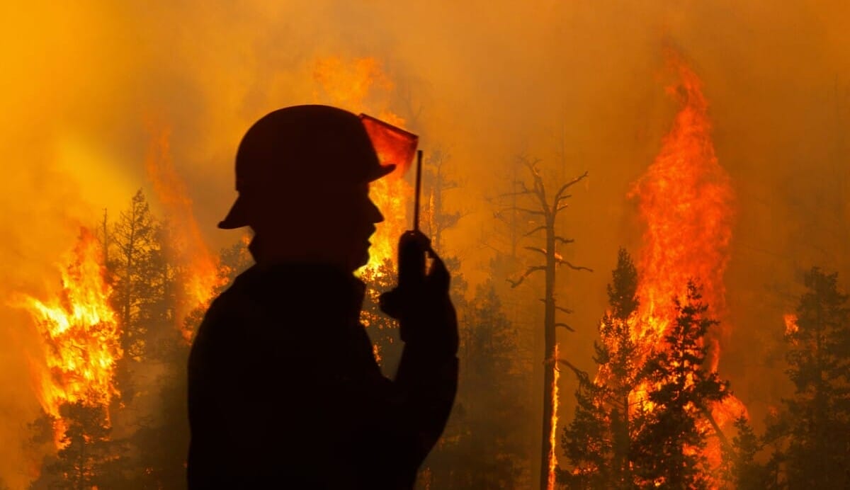 Can risk 2.0 save us from crises yet to come? Can risk 2.0 save us from crises yet to come?