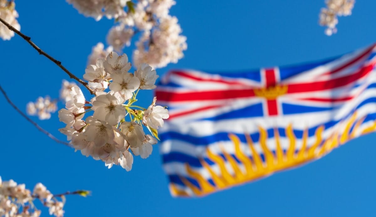 Meaningful increases in value: BCI talks ESG uplift in private equity Meaningful increases in value: BCI talks ESG uplift in private equity